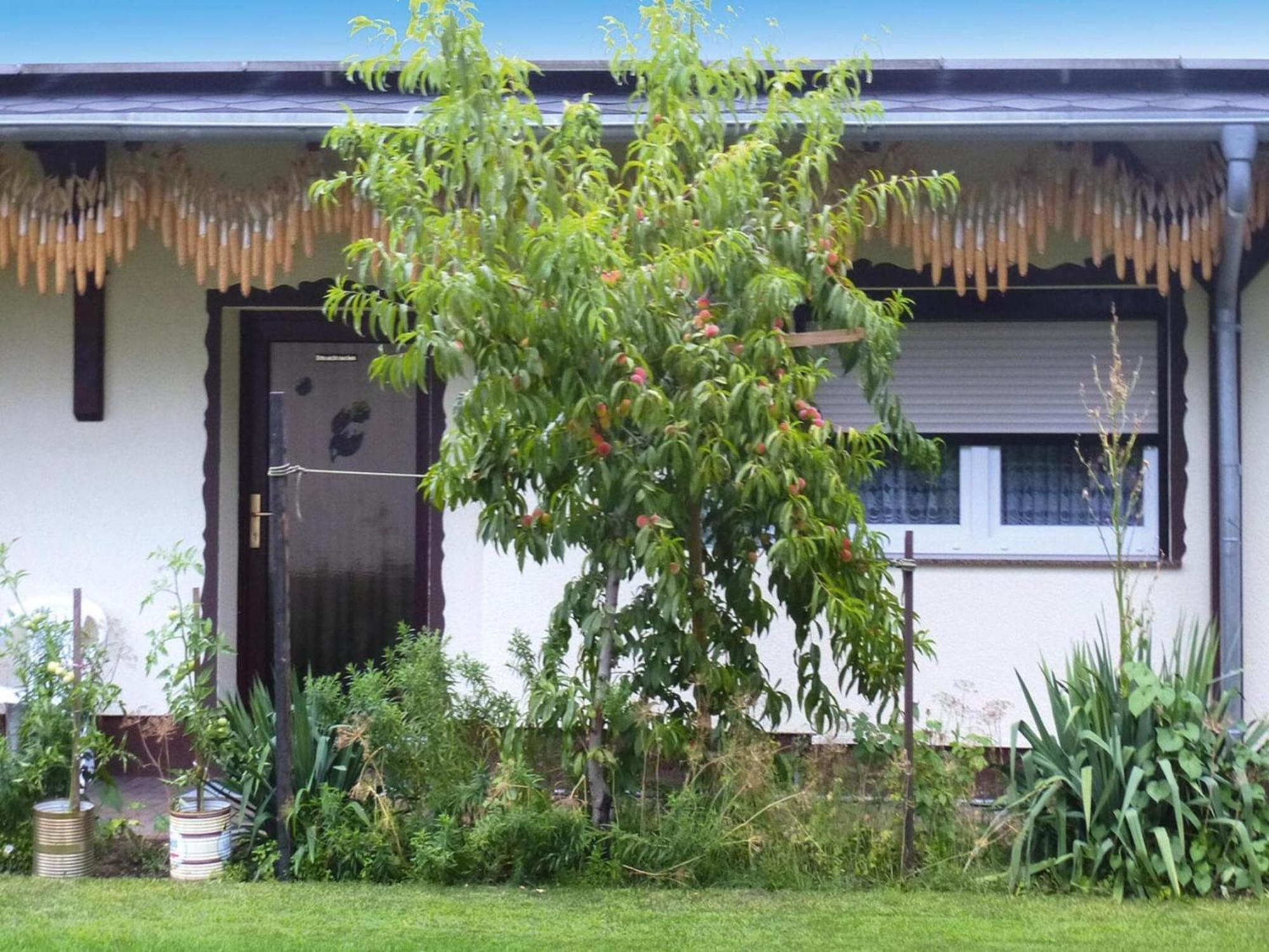 Bungalow In Luebben An Der Spree Dış mekan fotoğraf